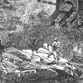 Jules Verne, Les Cinq Cents Millions de la Bégum